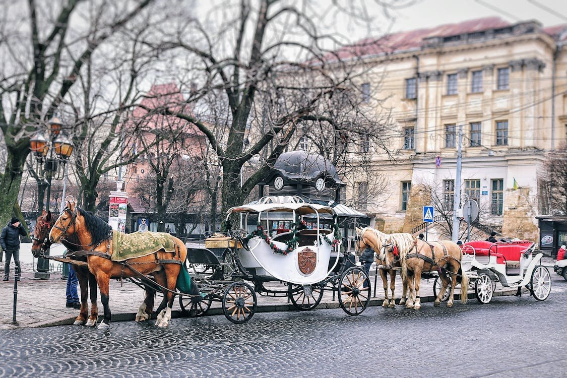 Vienna, Austria: A Winter Retreat with Culture and Charm